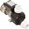 Pump, Bath, LX WCH, 7.0A, 115v, 1.5", w/Air Switch 34-343-1005