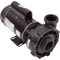 Pump, Aqua Flo XP2, 1.0hp Century,115v,2-Speed,48 Frame, 2" 34-402-2410W