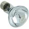 Replacement Bulb, Hayward, Astrolite II, 12v, 100w 57-150-1008