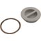 Plug W/Gasket (Gray) _SP1022BGR