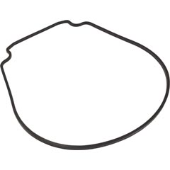 Gasket, Waterco HydroStar, Seal Plate 35-252-1207