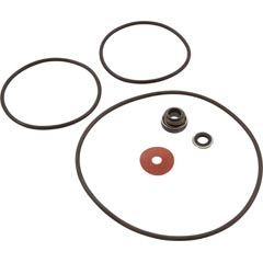 Repair Kit, Water Ace RSP, Includes Seal & O-Rings 35-675-1020