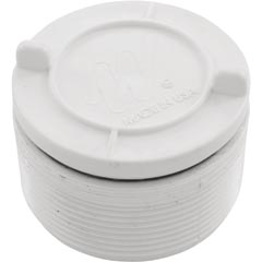 Hydrostatic Relief Valve, Waterway, 2" mpt, White 55-270-3152