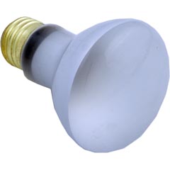 Bulb, Pentair, American Products, 115v, 60w 57-110-1214