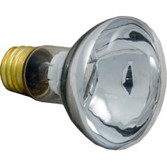 Bulb, Pentair American Products, 12v, 100w 57-110-1216