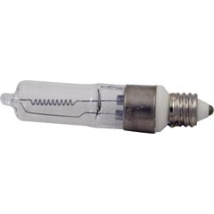 Bulb, Pentair, American Products, 115v, 100w 57-110-1218