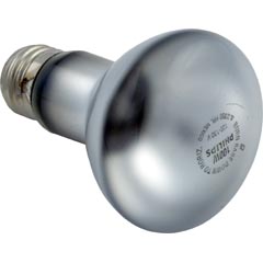 Replacement Bulb, Hayward, Astrolite II, 115v, 100w 57-150-1010