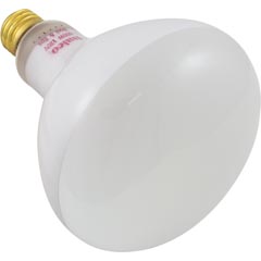 Replacement Bulb, Flood Lamp, 500w, 115v 57-555-1000