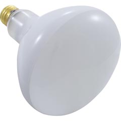 Replacement Bulb, Flood Lamp, 300w, 115v 57-555-1005