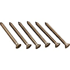 Screw, Hayward Pool Cleaners, Middle Body, Quantity 6 87-150-1126
