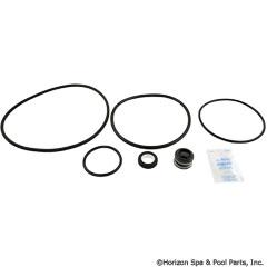 Go-Kit 47, Sta-Rite Dynaglas and J Series Pumps 90-423-3024